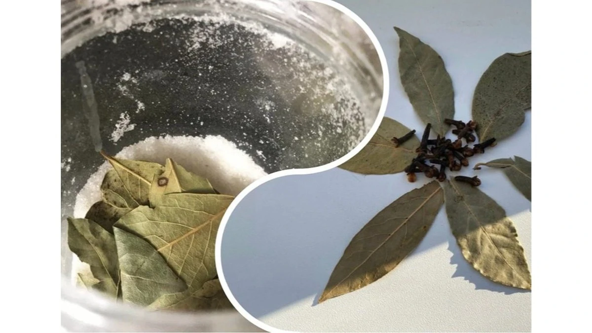 A może to po prostu działa? Ten stary *przesąd* na parapecie odmienił moje finanse