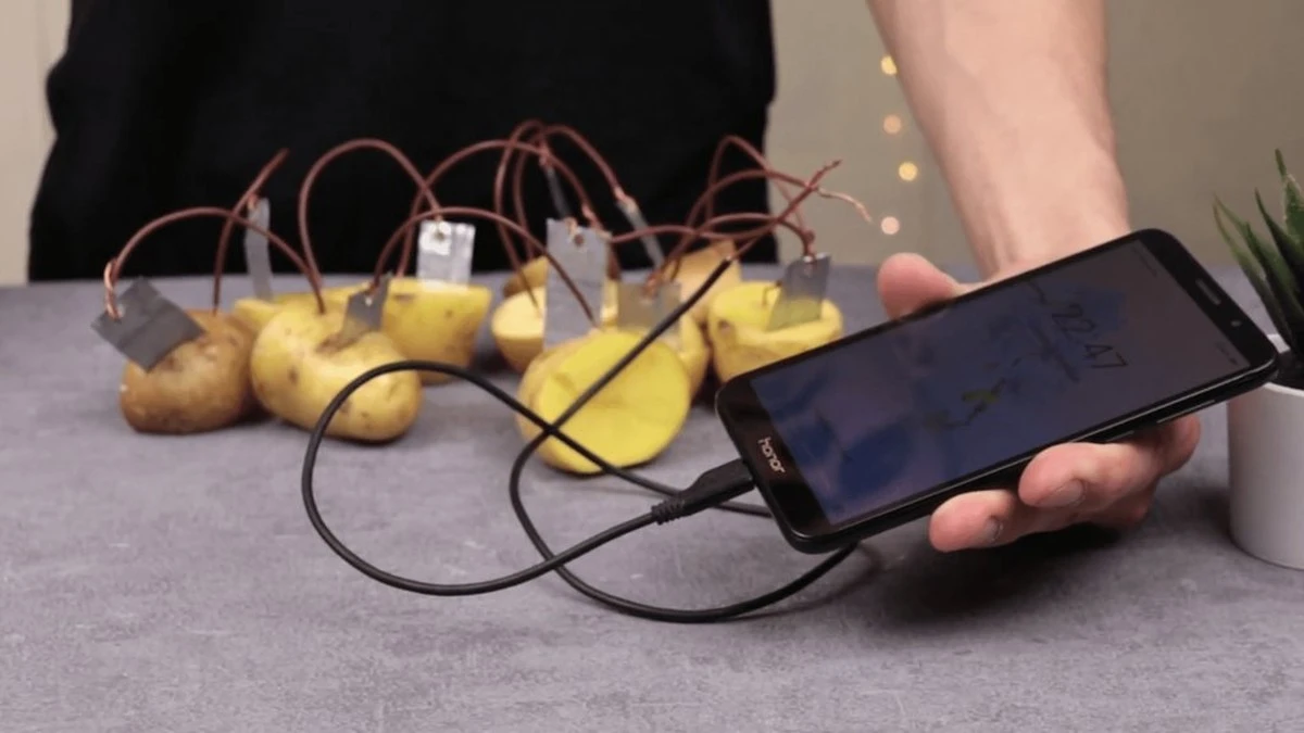 A co, jeśli Twój sąsiad zobaczy, jak ładujesz telefon ziemniakami? Liczby nie kłamią.