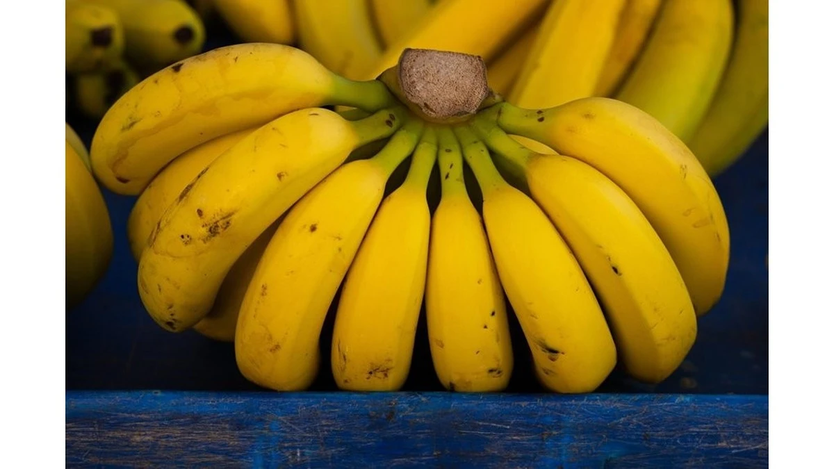 Dlaczego nie powinieneś jeść banana na pusty żołądek: szokująca prawda od dietetyka
