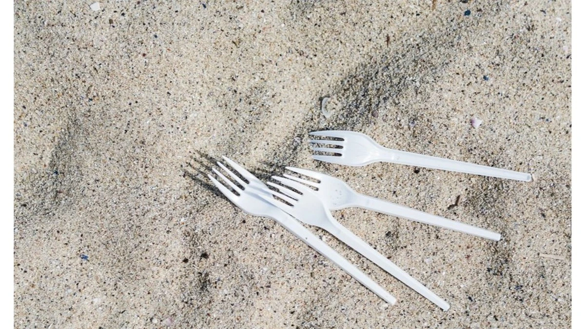 Sąsied zbierał plastikowe widelce ze śmietnika – powód zaskoczył mnie tak bardzo, że już następnego dnia robiłem to samo