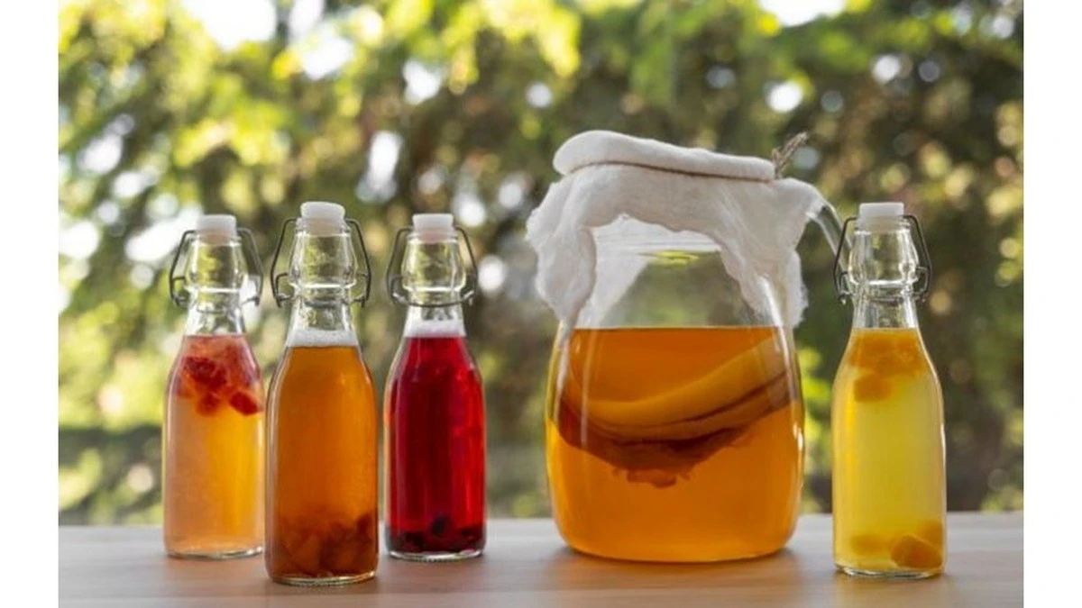 5 grup ludzi, którym kombucha może zaszkodzić. Sprawdź, czy jesteś w tym gronie
