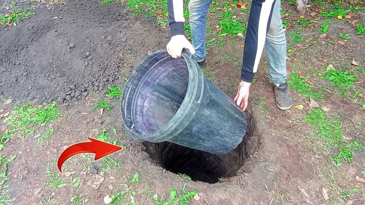 Zakopana plastikowa beczka: jak stworzyć lodówkę bez prądu, która działa przez całe lato