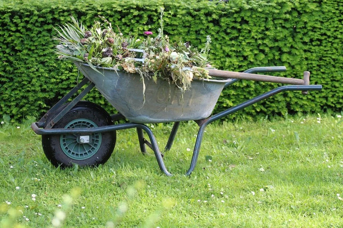 Trzy opryski, które zagwarantują obfite plony. Ogrodnicy zdradzają swój sekret