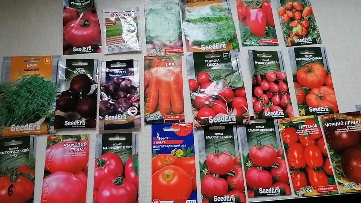 Siedzisz w mrozie podczas zamawiania nasion? Mamy dla Ciebie złe wieści